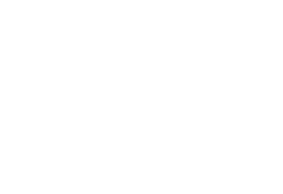 Logo Politecnico Torino